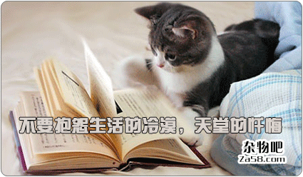 视频分享：不要抱怨生活的冷漠，天堂的忏悔 杂物吧
